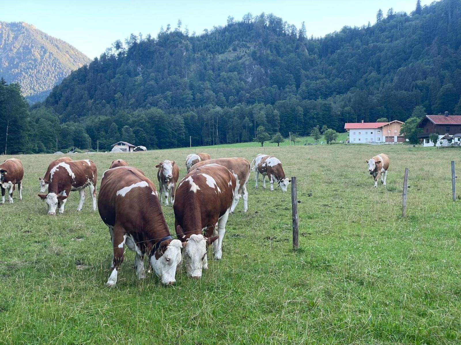 Ferienwohnungen Bergluft Aschau im Chiemgau Eksteriør bilde